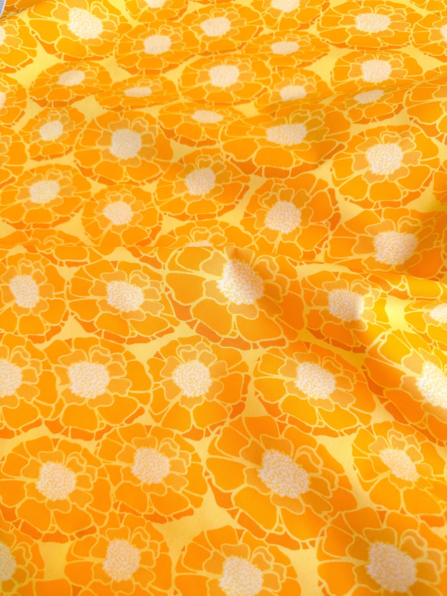 Humble Beauty in Sunshine