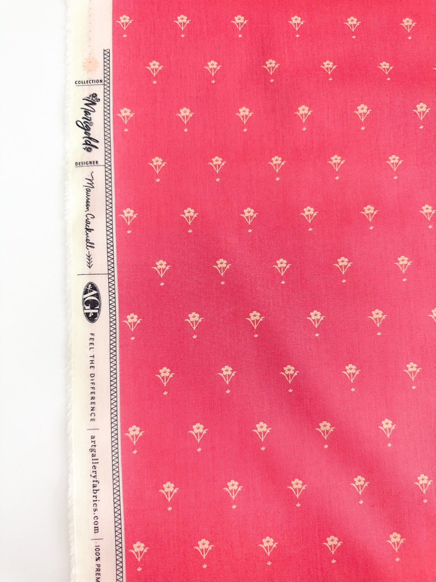 Painted Porcelain in Rose