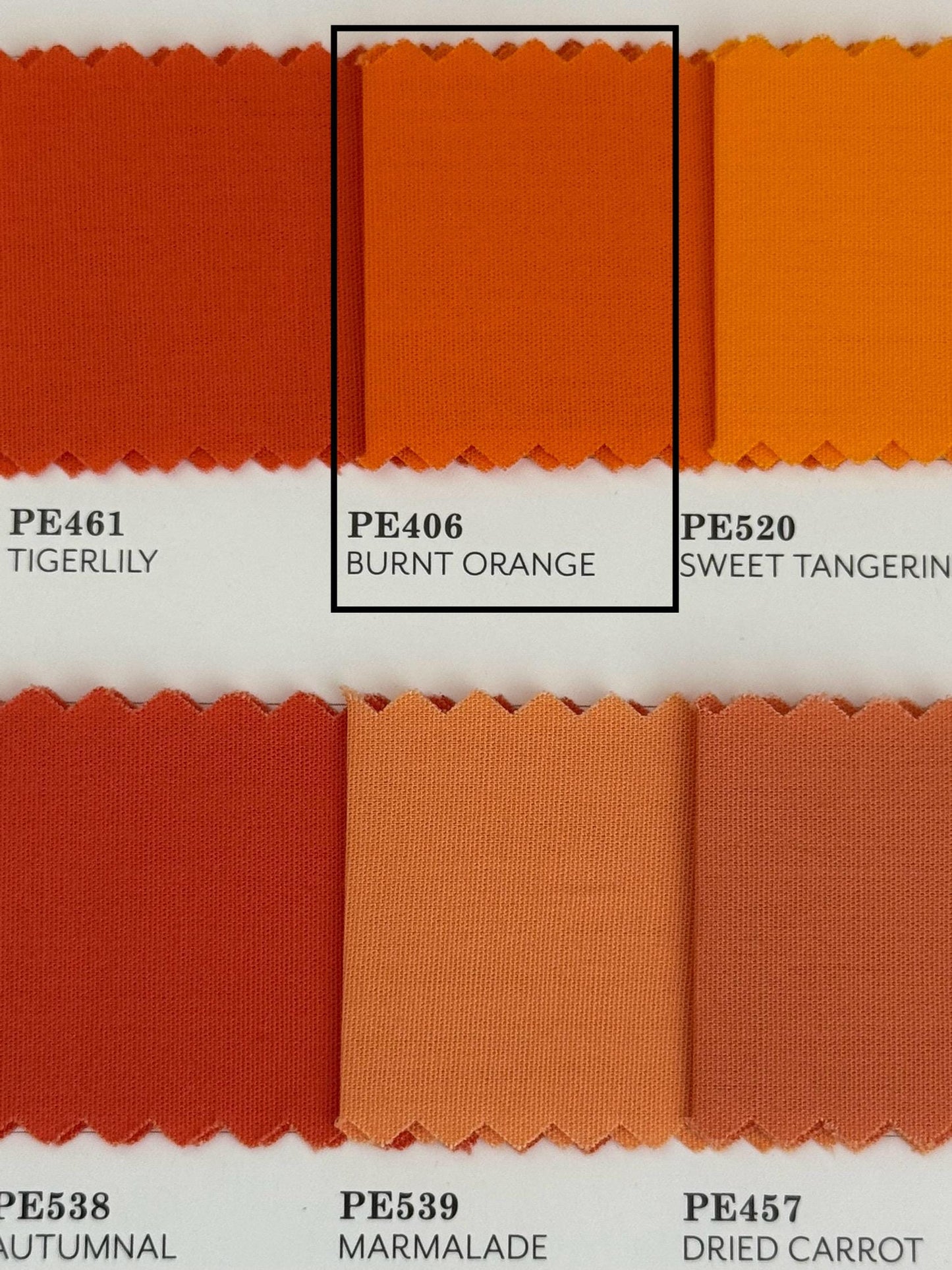 Burnt Orange Solid Cotton Fabric by AGF Studio - from Paradise Garden Collection, 100% Premium Quilting Textile