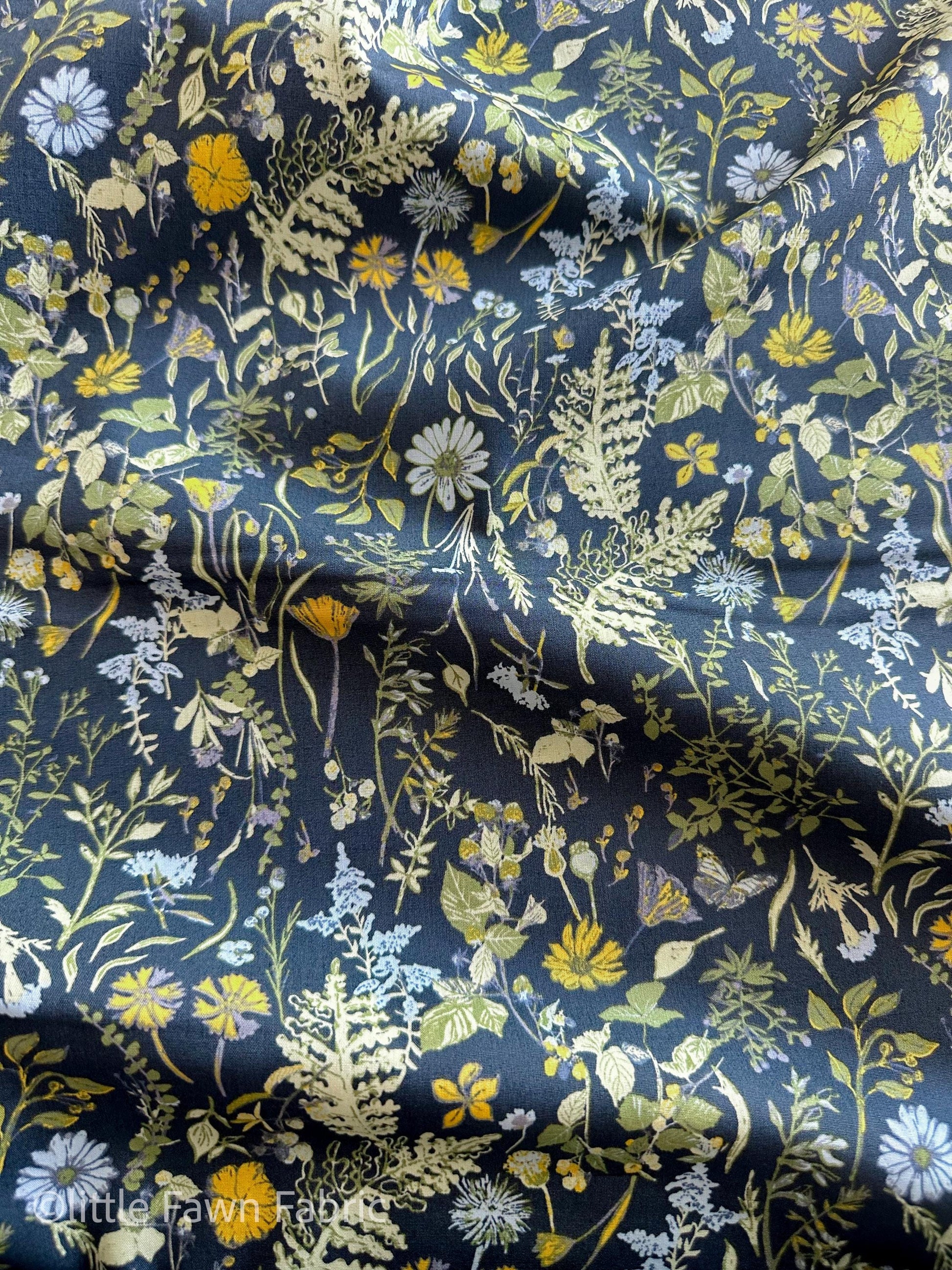 Peaceful Meadow Dusk