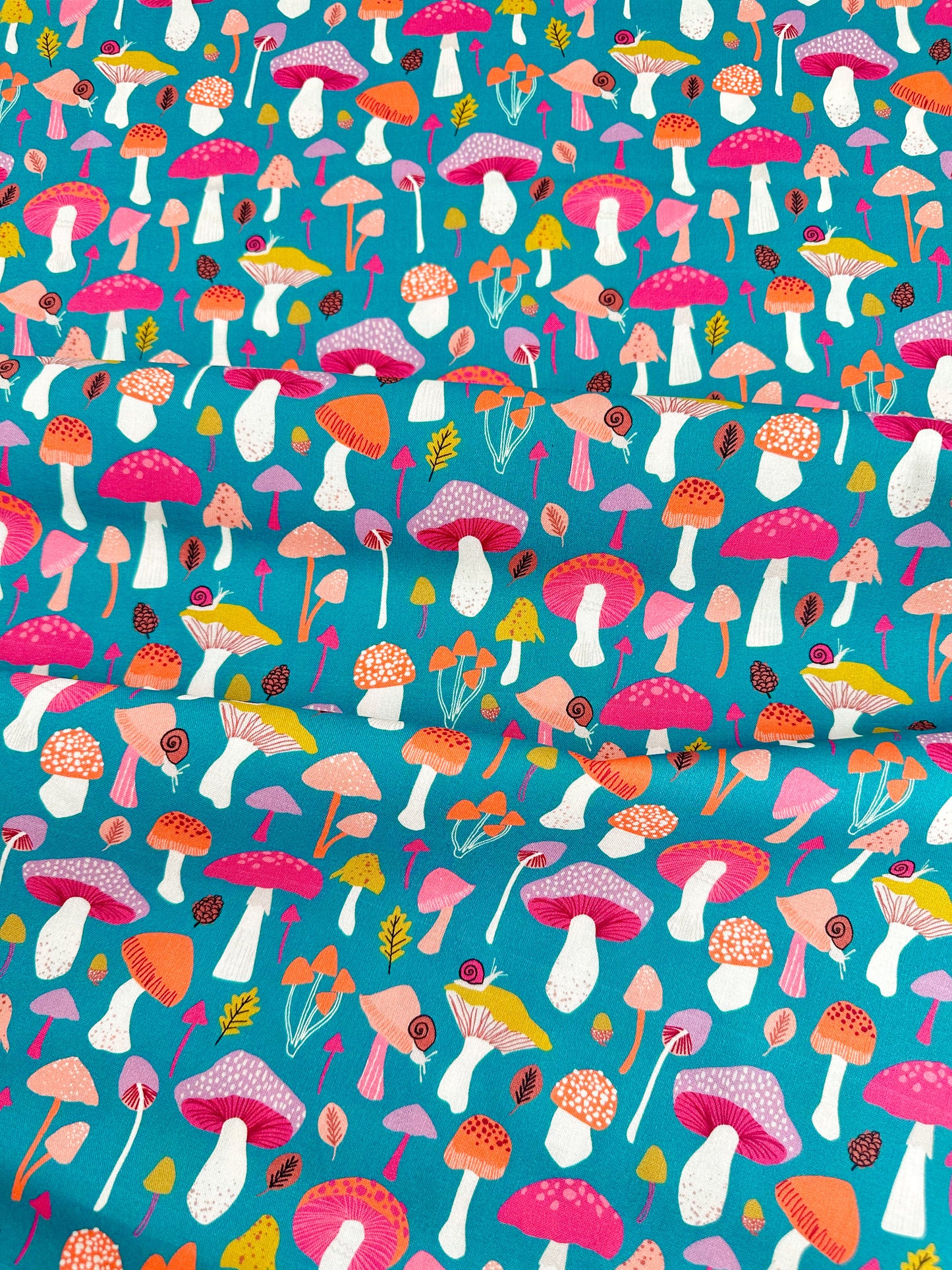 Mushrooms