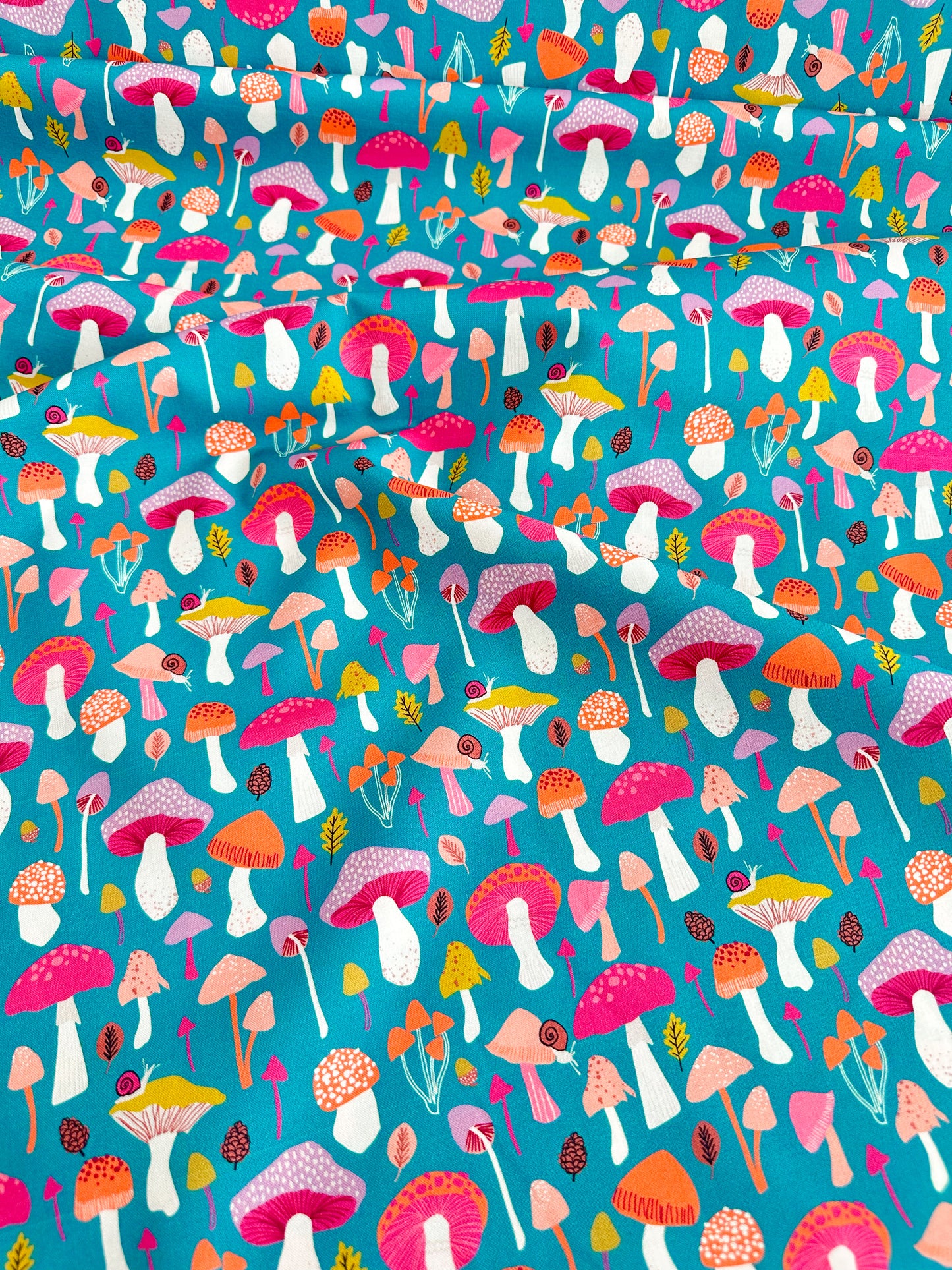 Mushrooms