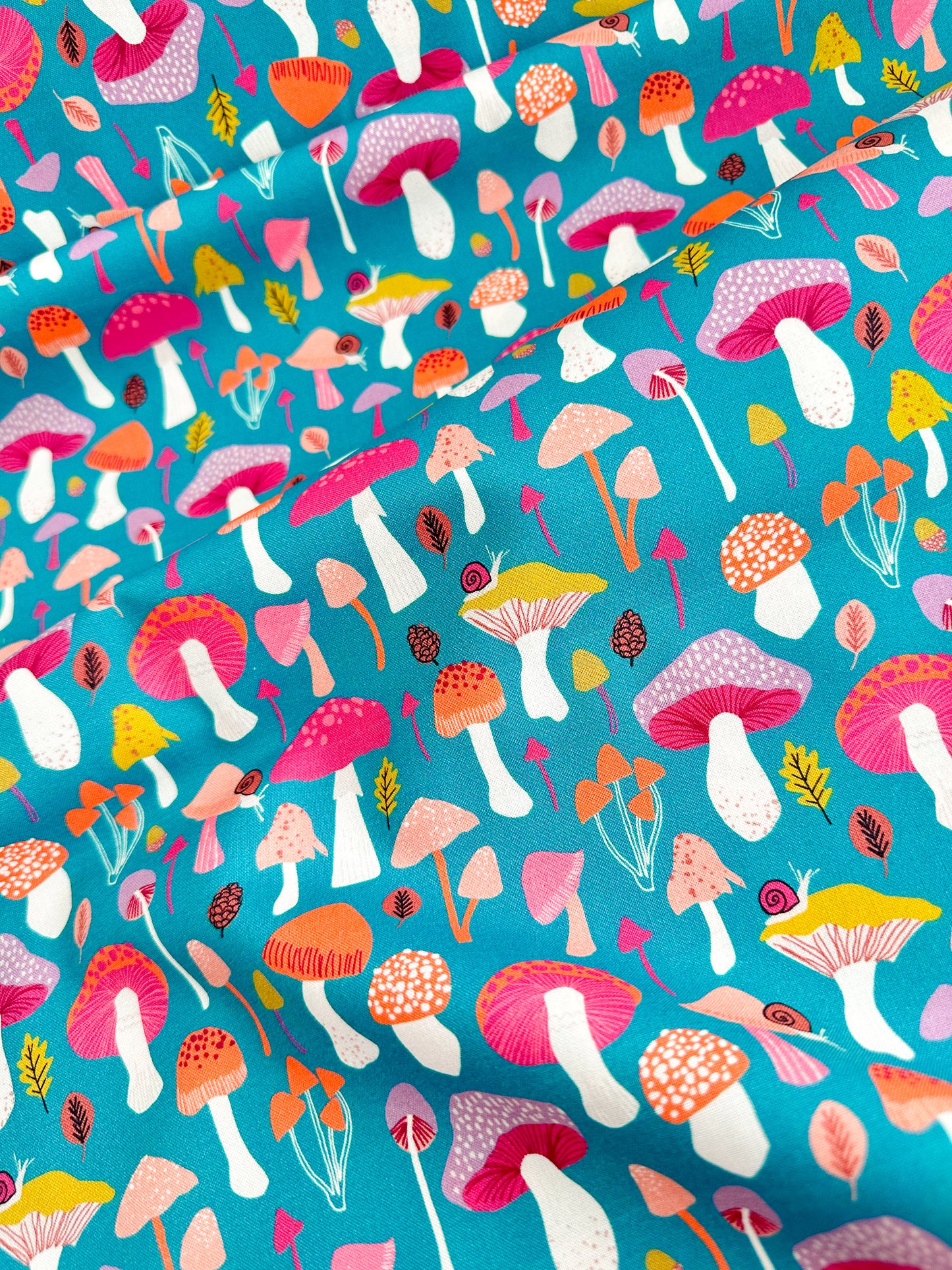 Mushrooms
