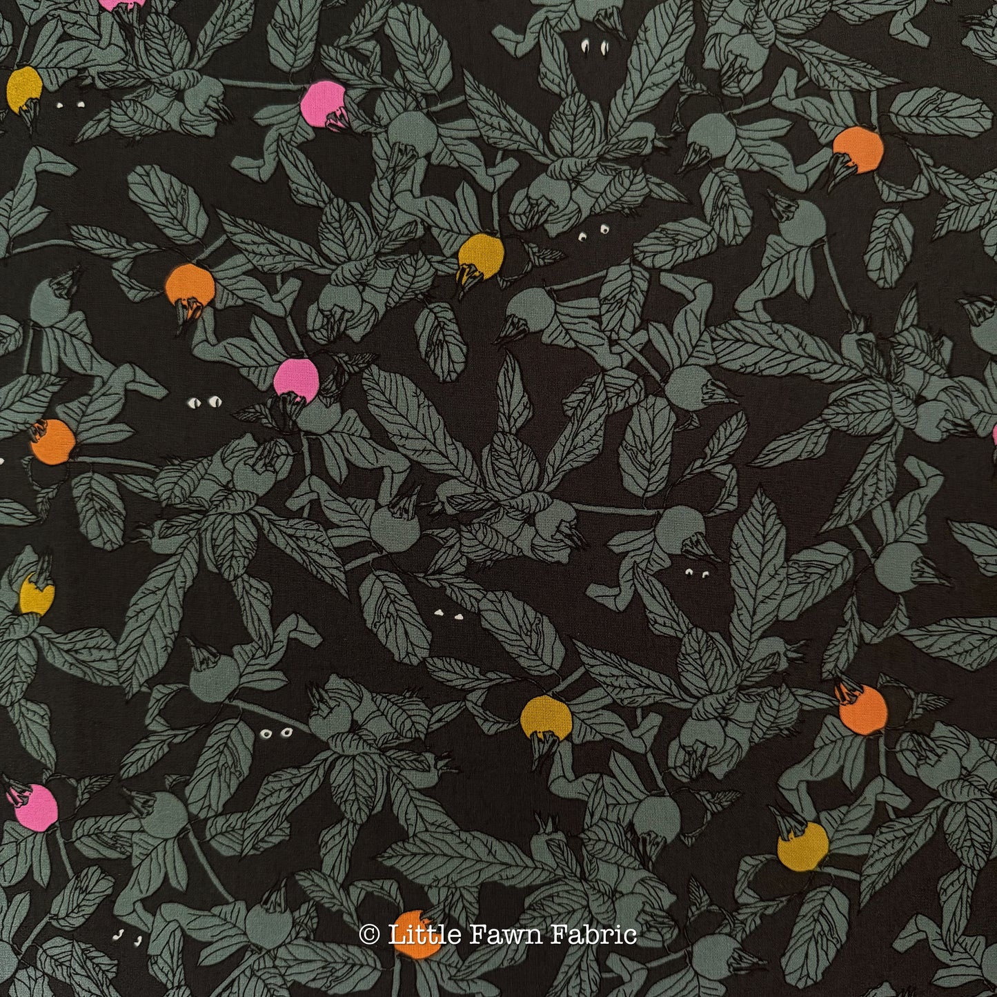 Peek-a-Boo ENW-49414
