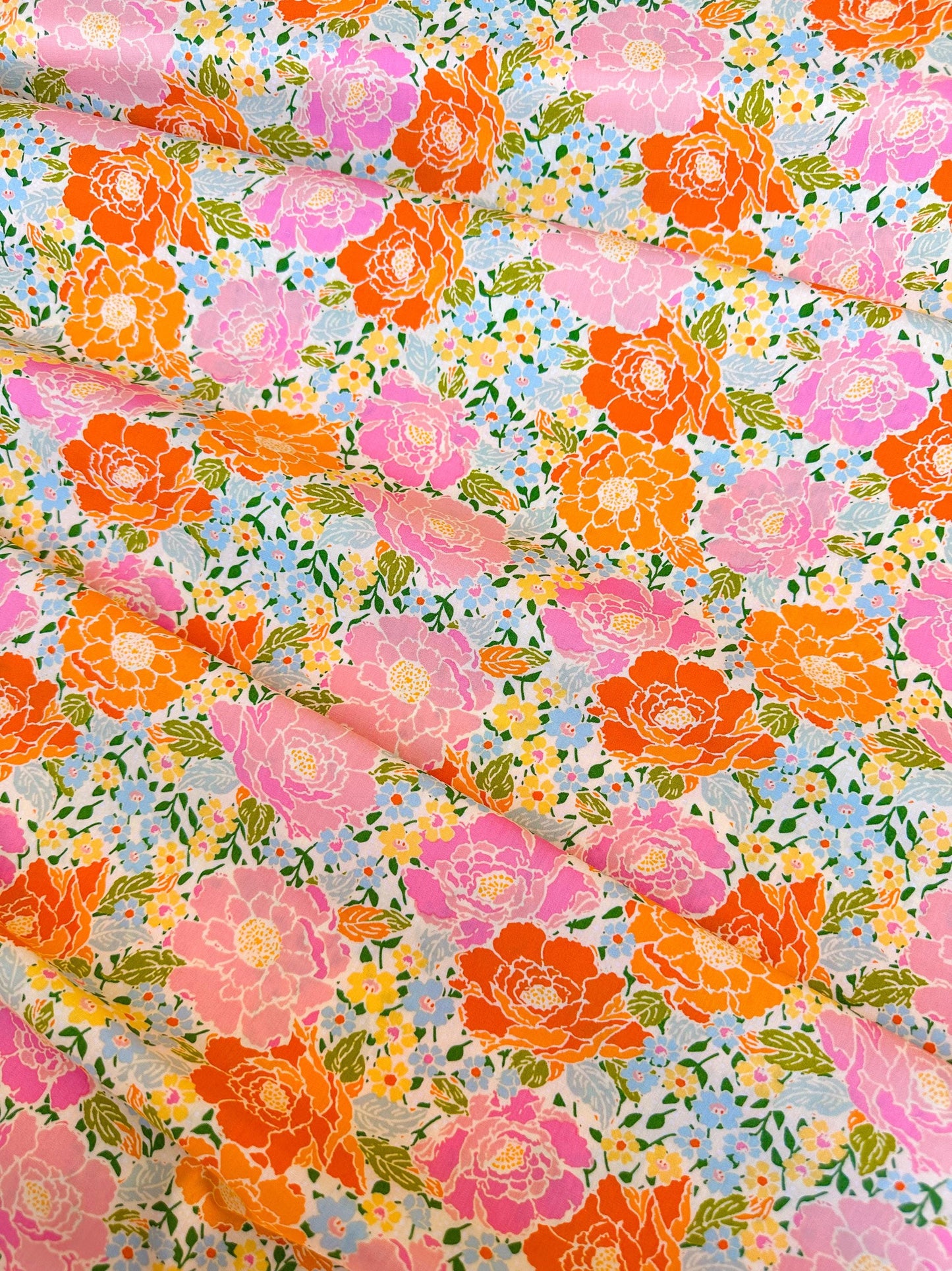 Woods Rose in Garden