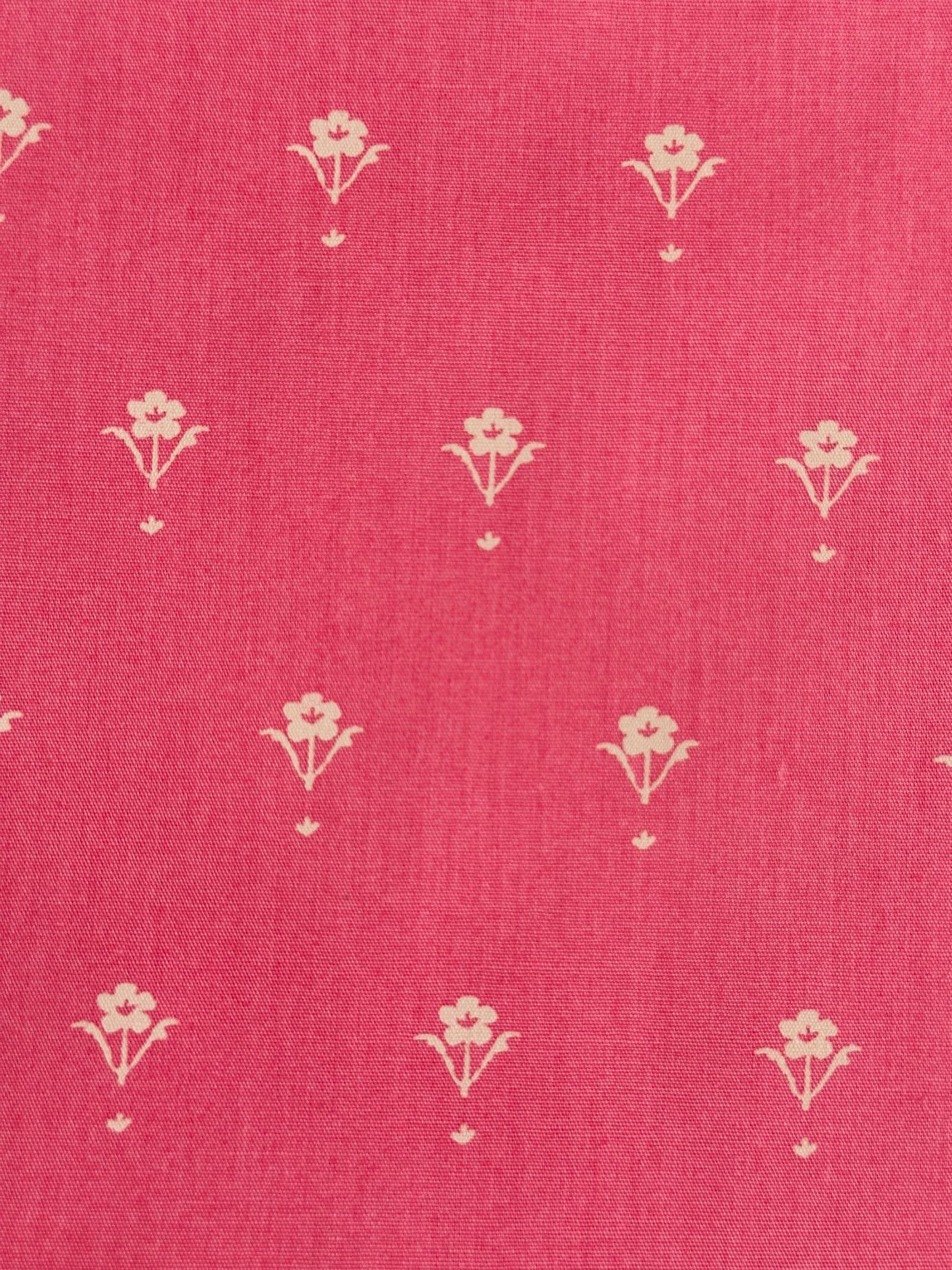Painted Porcelain in Rose