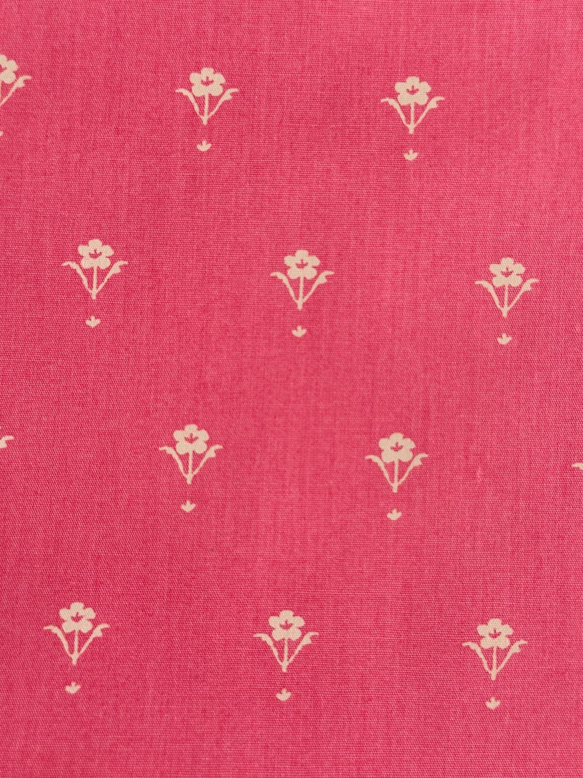 Painted Porcelain in Rose
