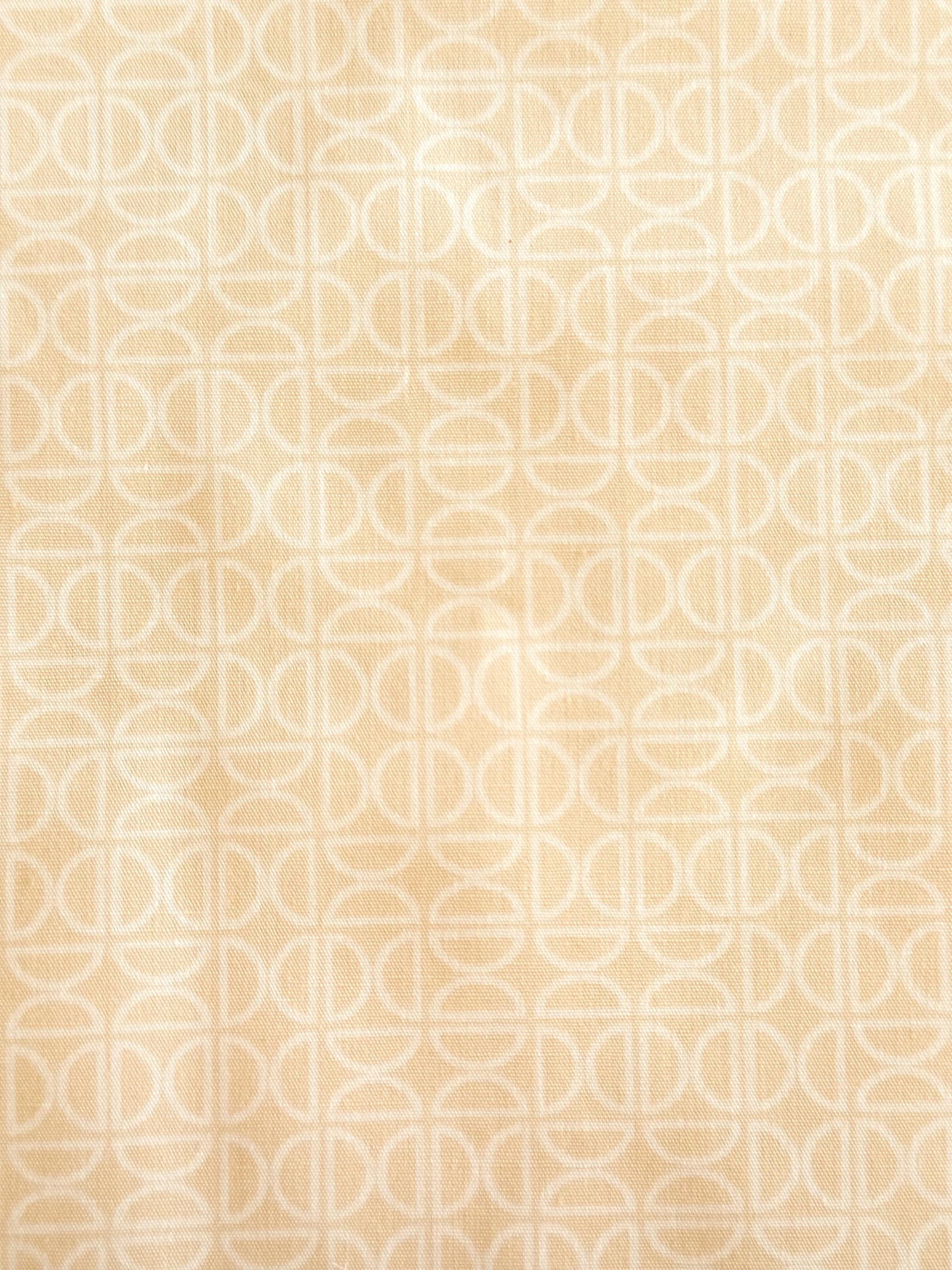 Premium Cotton Fabric by Yard - Tangerine Collection Quilt & Craft Material, Zesty Wedges Raw Print from AGF Studio