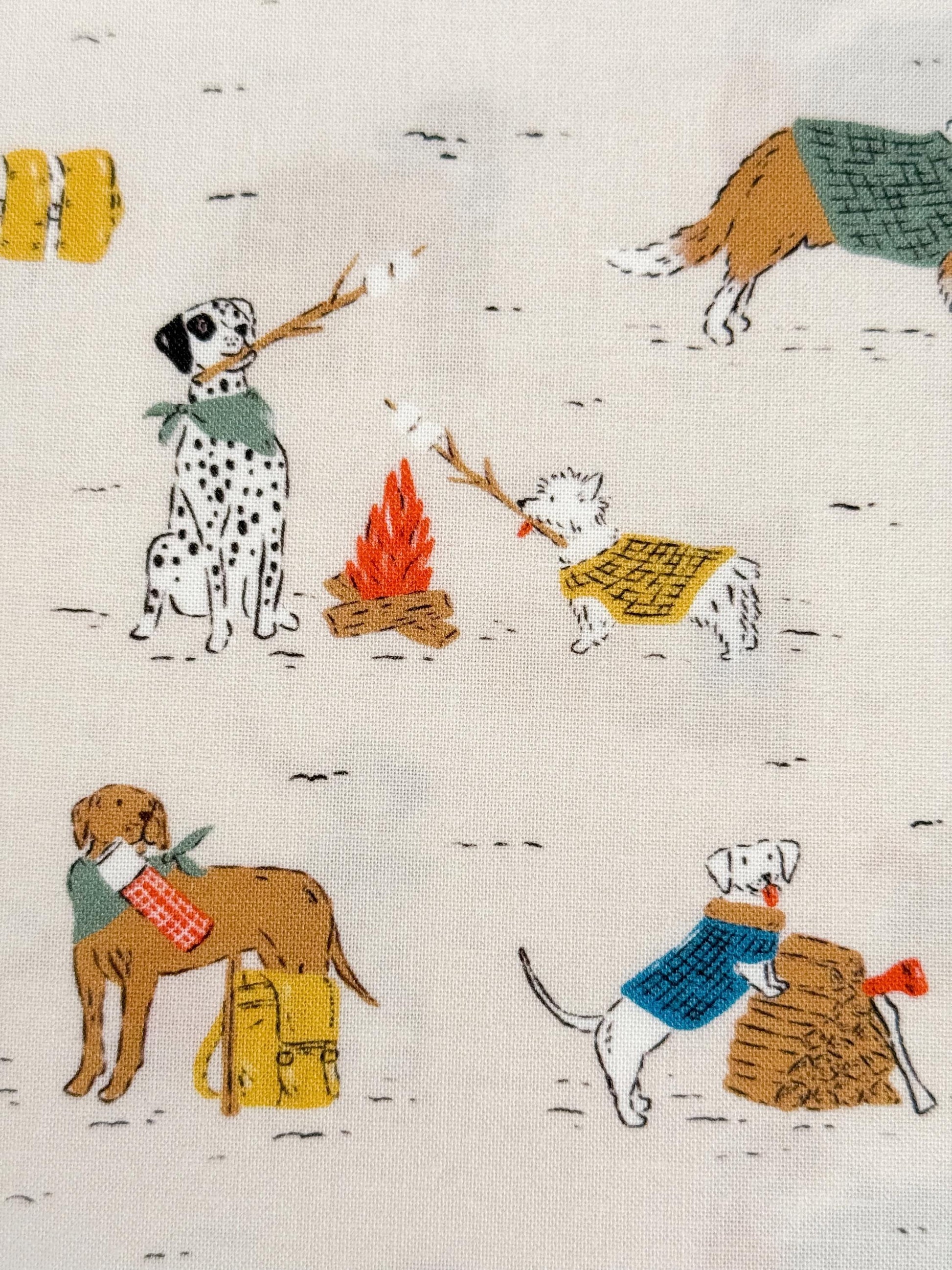 Campfire Companions