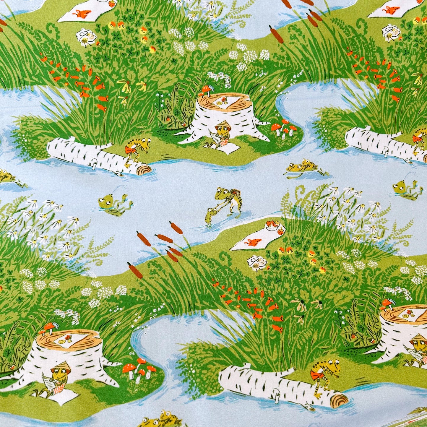 Frog Pond Fabric by the Yard, Cotton Print Fabric for Sewing & Crafts, by Heather Ross, Oeko-Tex Certified Windham Fabrics