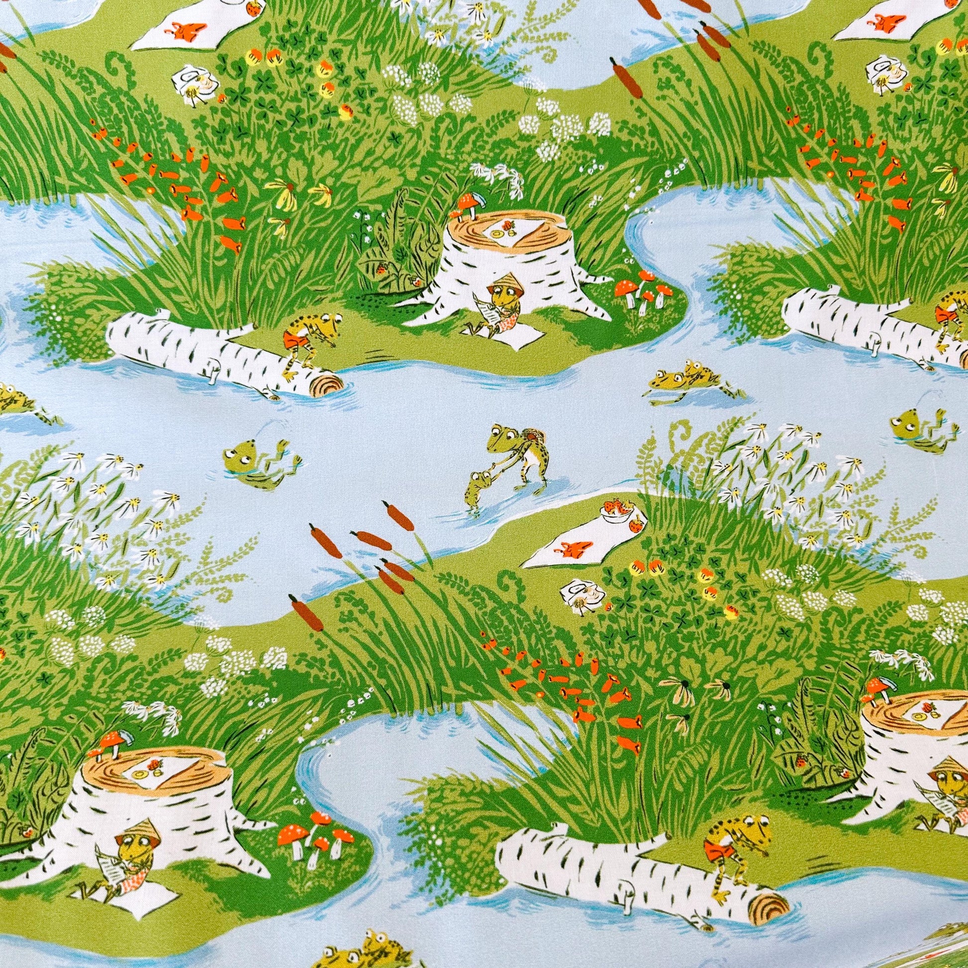 Frog Pond Fabric by the Yard, Cotton Print Fabric for Sewing & Crafts, by Heather Ross, Oeko-Tex Certified Windham Fabrics