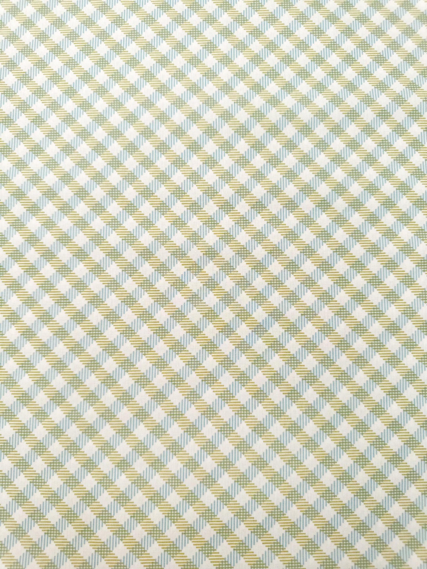 Interwoven Grass – Premium Cotton by the Yard – MIDSUMMER Collection by Sharon Holland – Art Gallery Fabrics, Gingham Print