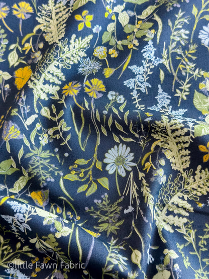 Peaceful Meadow Dusk