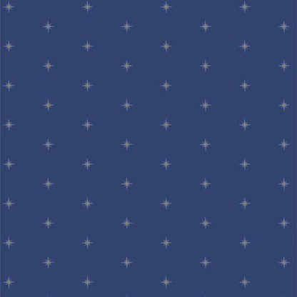 Shining Stardusk – Premium Quilting Cotton by the Yard | Starling Collection by Maureen Cracknell – Art Gallery Fabrics