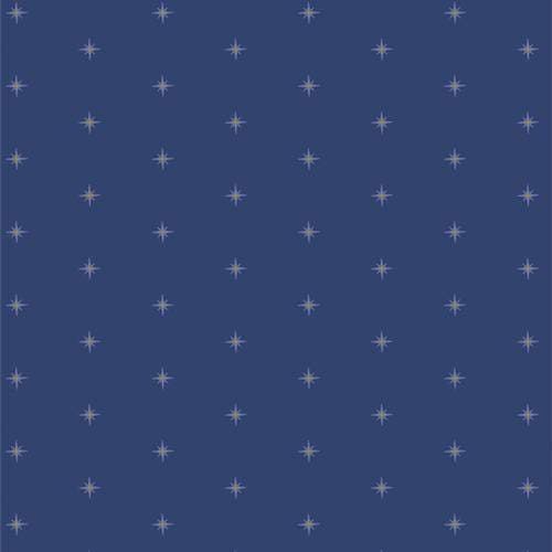 Shining Stardusk – Premium Quilting Cotton by the Yard | Starling Collection by Maureen Cracknell – Art Gallery Fabrics