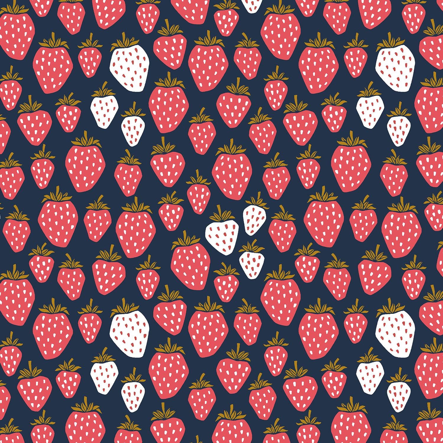 Queen of Berries - Queen Of Berries