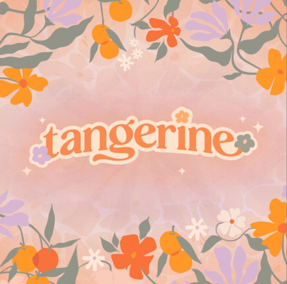 Tangerine Fabric Bundle 13 Pc Half Yard or Fat Quarter Cuts – Art Gallery Fabrics Collection by AGF Studio