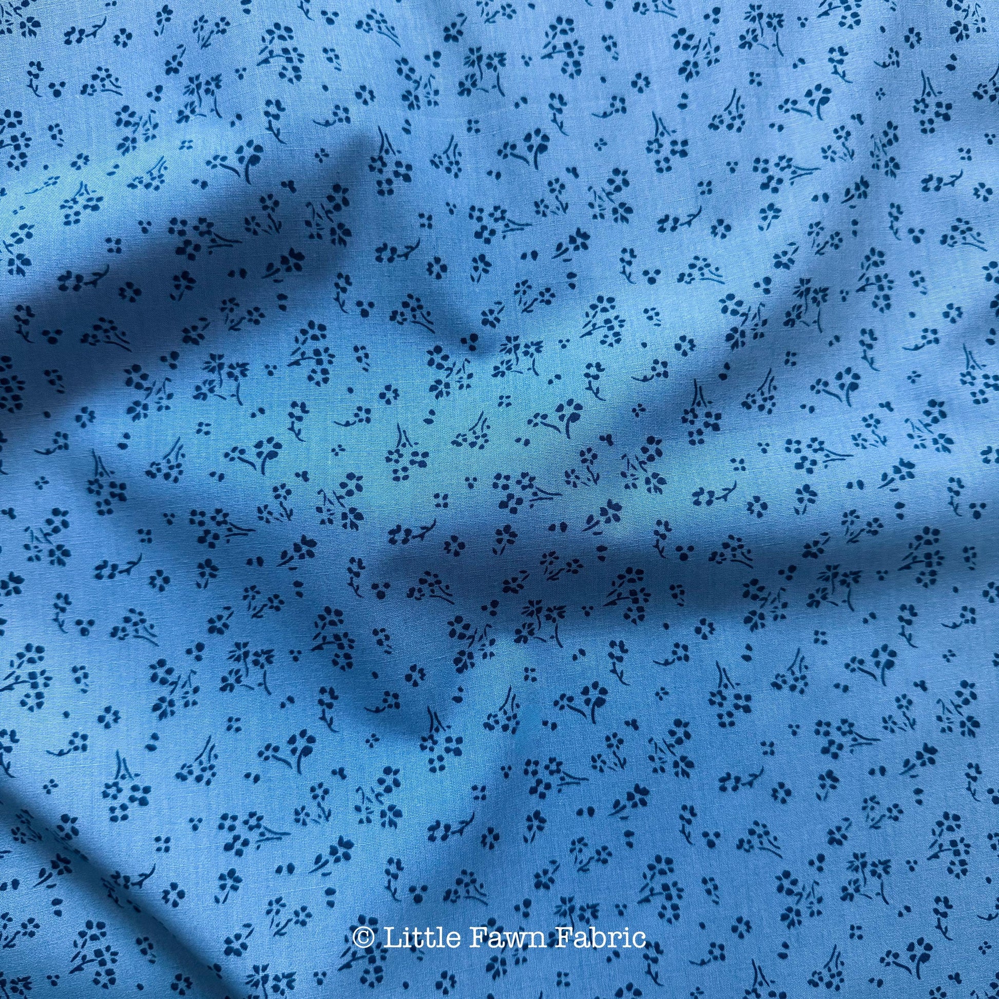 Sprinkled Florets Calm