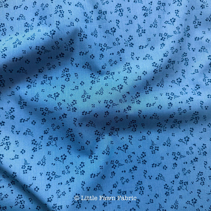 Sprinkled Florets Calm