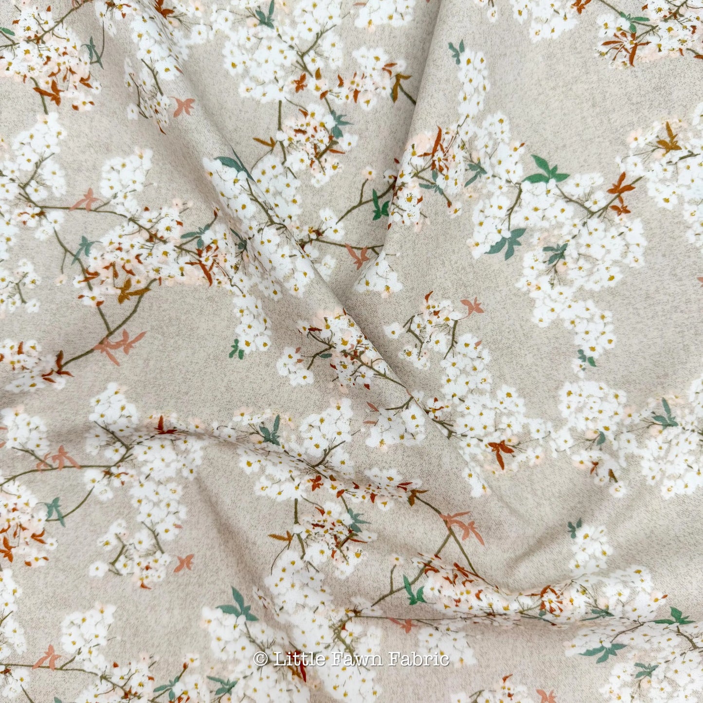 Skye Sakura Sprout