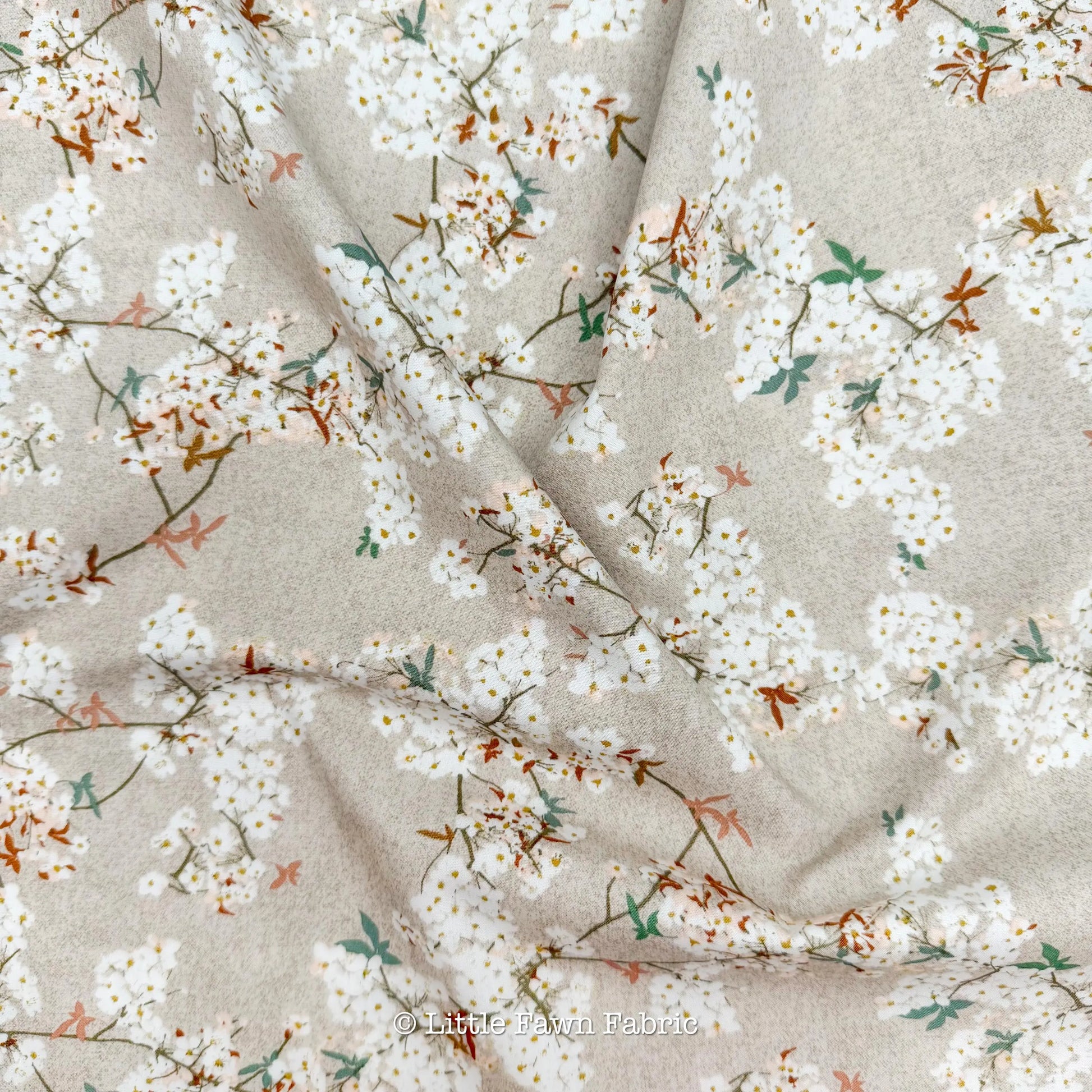Skye Sakura Sprout