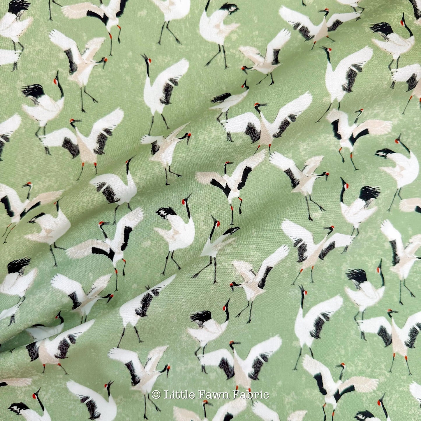Dancing Cranes