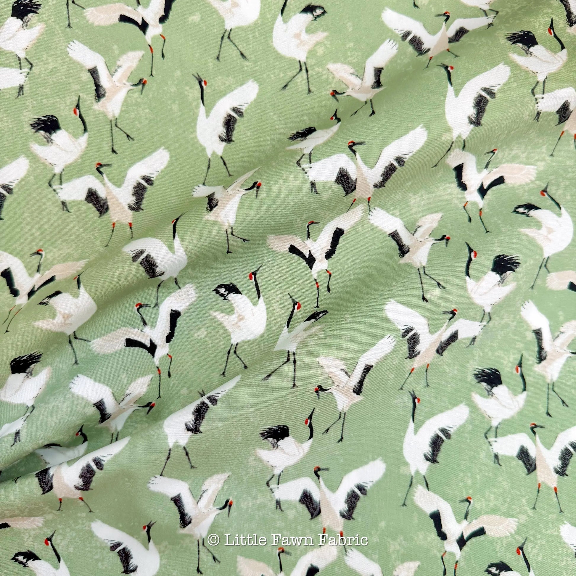 Dancing Cranes