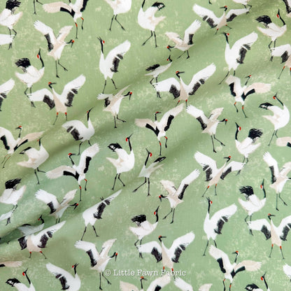 Dancing Cranes