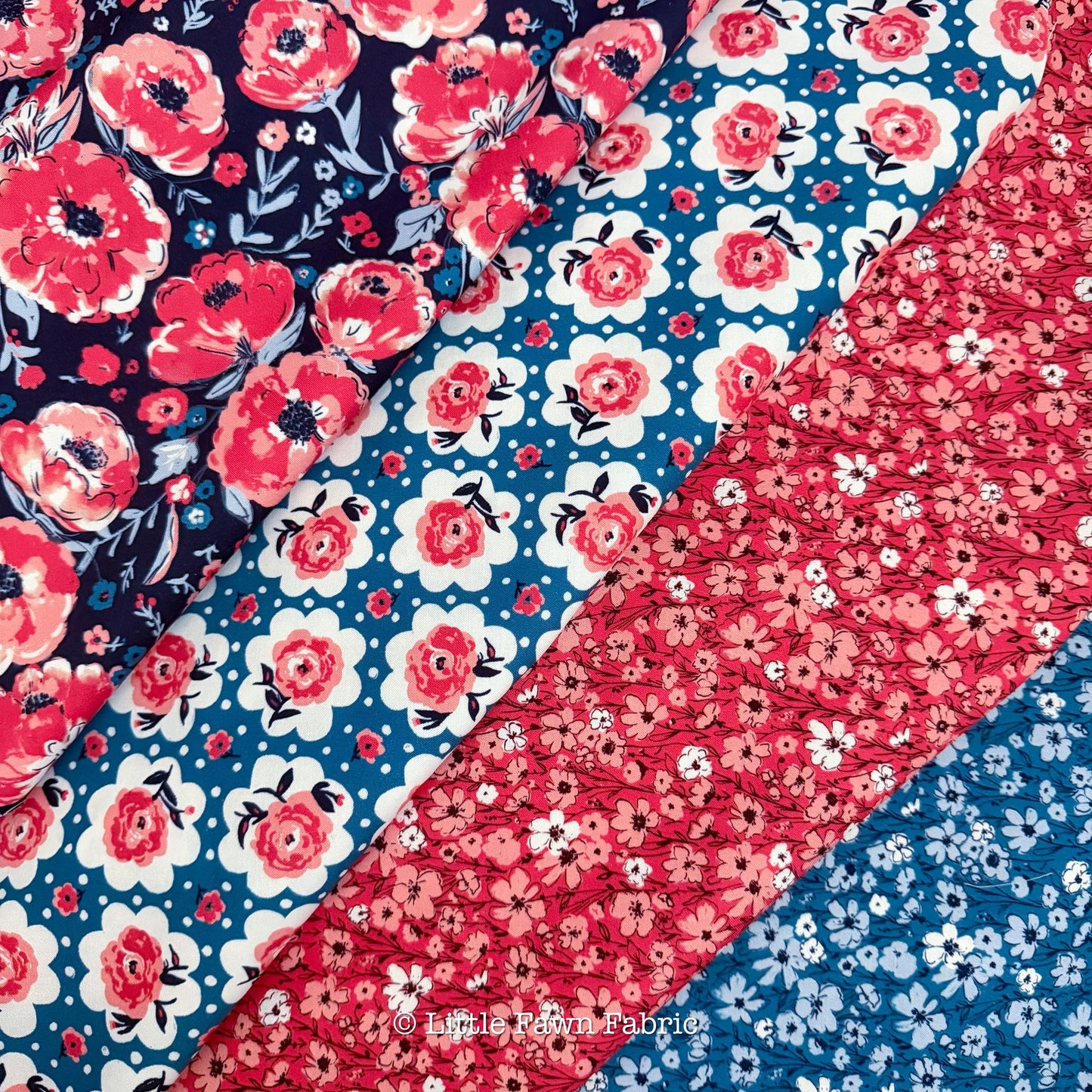 Jubilant Organic Cotton Full Collection Bundle – Alison Janssen for Cloud9 – 17 Print Fat Quarter or Half Yard Quilt Fabric Set