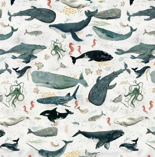 Ocean Animal Fabric Cream | Whale Dolphin Sea Life Fabric by Katherine Quinn Windham | Creatures of the Sea Cotton Fabric