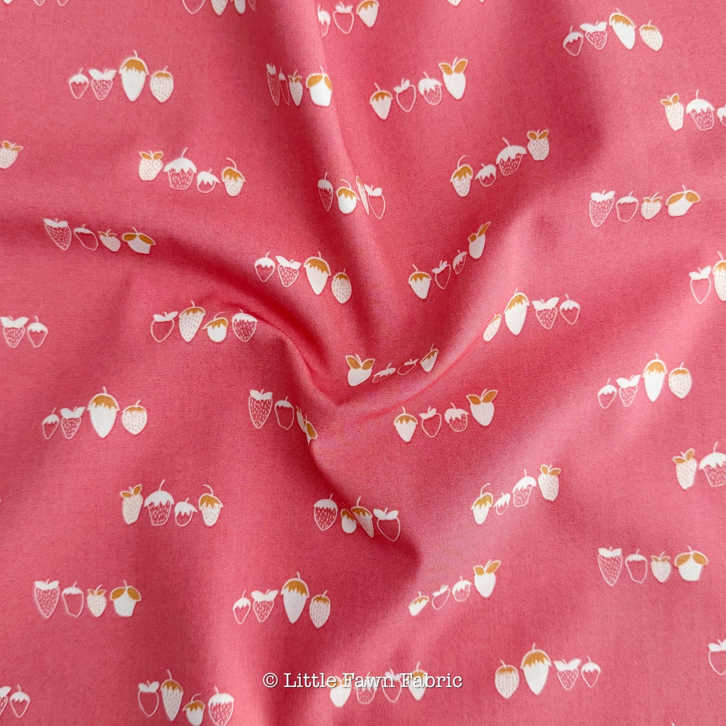 Farmhouse Kitchen Fabric Bundle – 6 Piece Fat Quarter Bundle – Art Gallery Fabrics – Warm Quilt Fabric Bundle – Honey Gold Coral Cotton