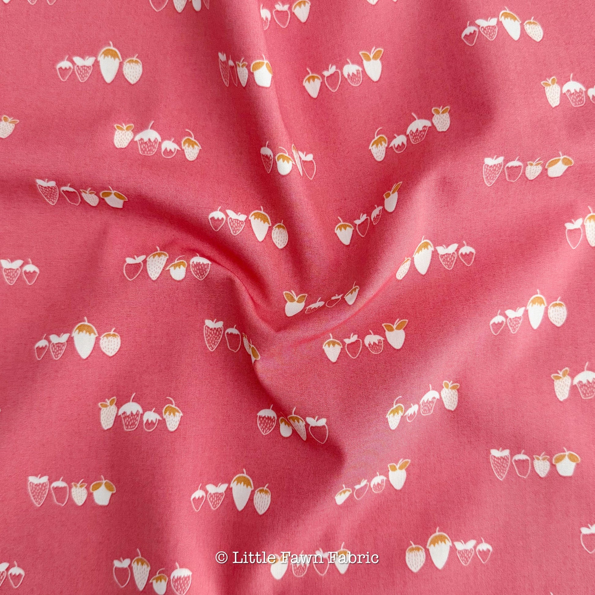 Farmhouse Kitchen Fabric Bundle – 6 Piece Fat Quarter Bundle – Art Gallery Fabrics – Warm Quilt Fabric Bundle – Honey Gold Coral Cotton