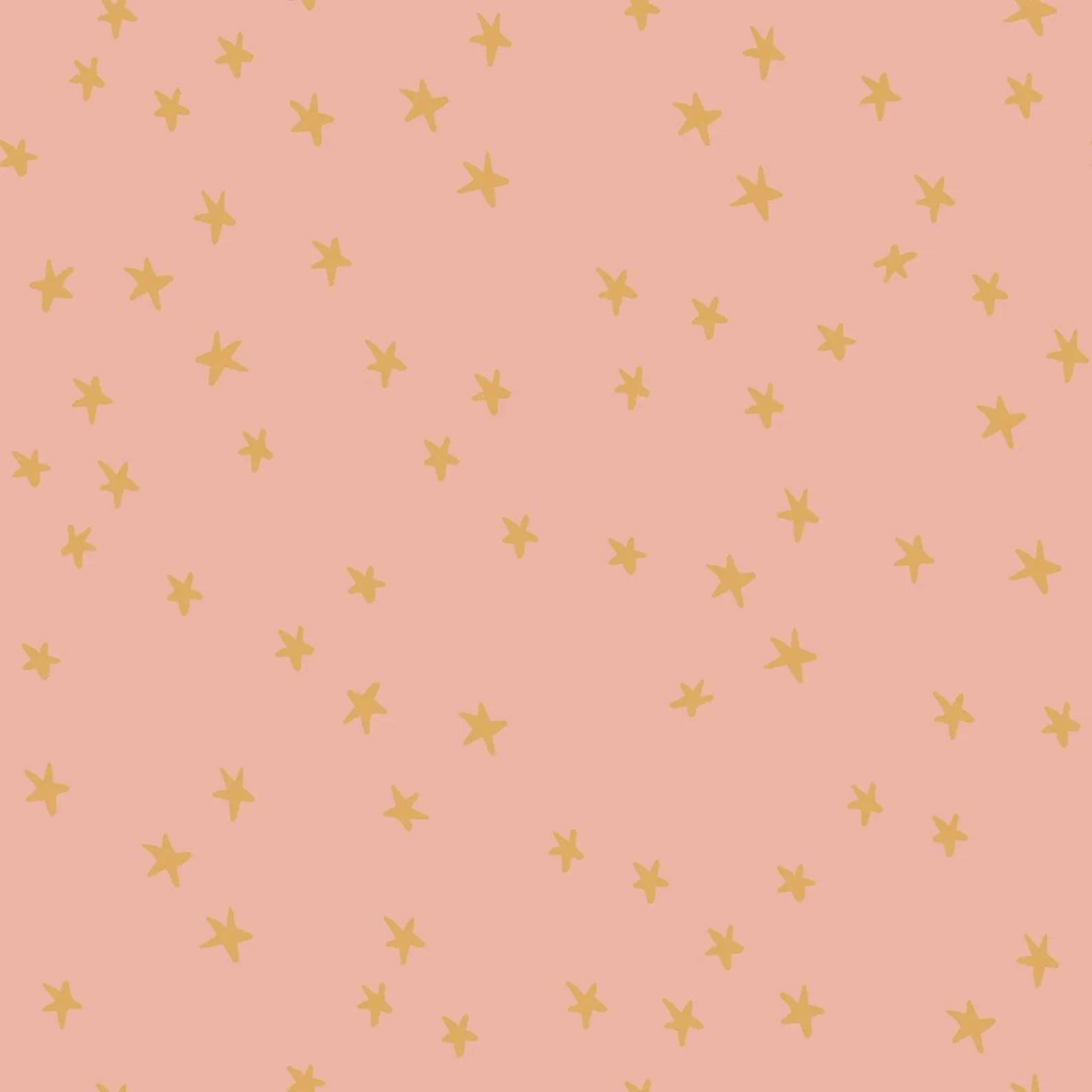 Mystic Fable Starry Bundle GEN2 – 5pc Fat Quarter or Half Yard Fabric Bundle – Ruby Star Society Coordinates