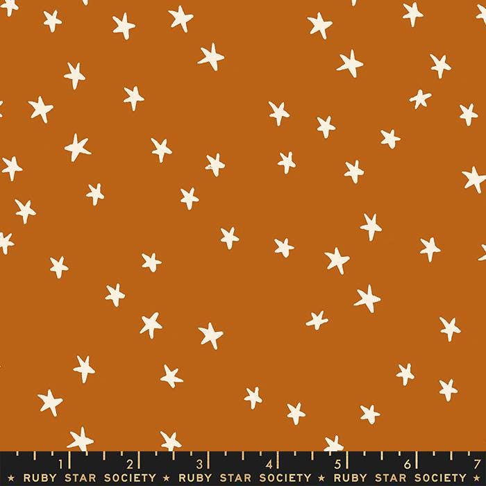 Mystic Fable Starry Bundle GEN2 – 5pc Fat Quarter or Half Yard Fabric Bundle – Ruby Star Society Coordinates