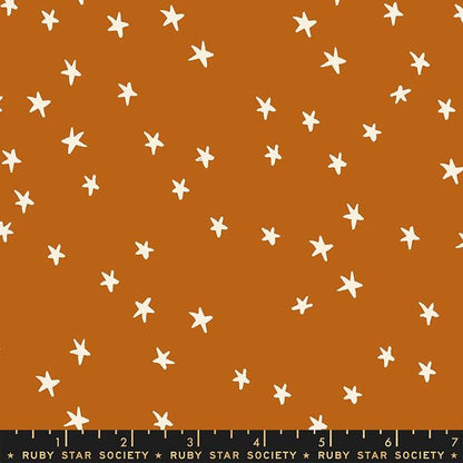 Mystic Fable Starry Bundle GEN2 – 5pc Fat Quarter or Half Yard Fabric Bundle – Ruby Star Society Coordinates