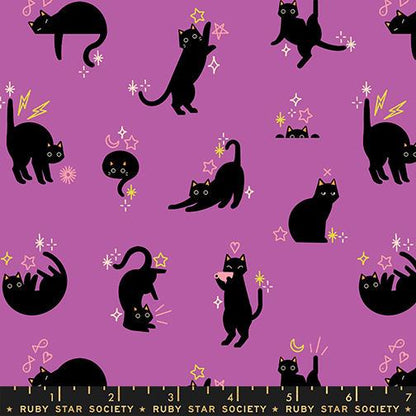 Black Cat Magic Halloween Fabric Bundle, Freaky Familiars Ruby Star Society, 6 Piece Fat Quarter Bundle