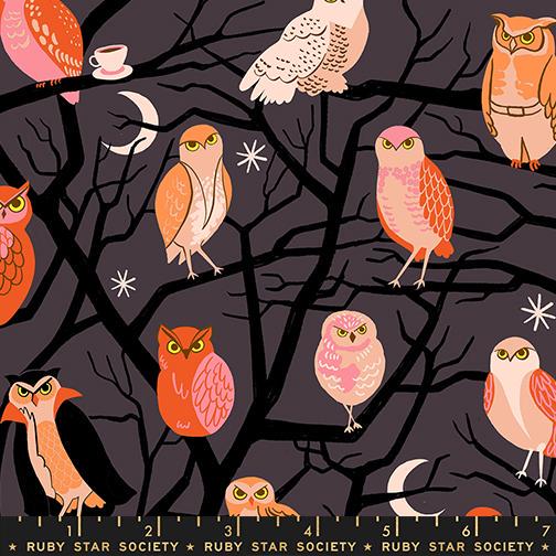 Freaky Familiars Eggplant Owls Fabric, Ruby Star Society RS5190 13, Halloween Owl Fabric, Dark Fall Quilting Cotton