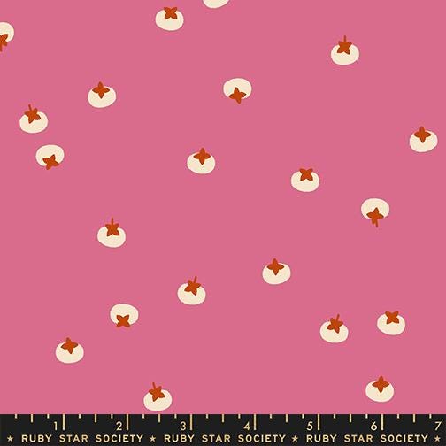 Persimmon Hibiscus Persimmons Fabric RS1120 13 by Rashida Coleman Hale for Ruby Star Society, Pink Fruit Blender Quilt Fabric