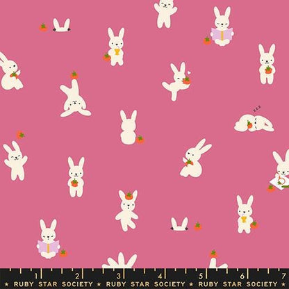 Persimmon Bunny & Market Fat Quarter Bundle, 6 Pieces, Ruby Star Society, Rashida Coleman Hale, Bunny Food Novelty Fabric