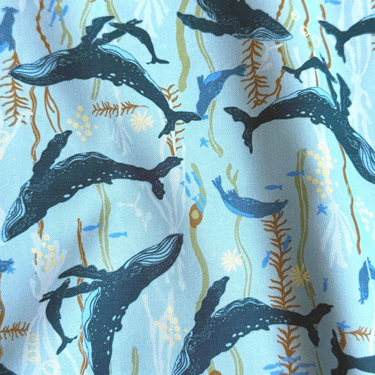 Headwaters in Ocean