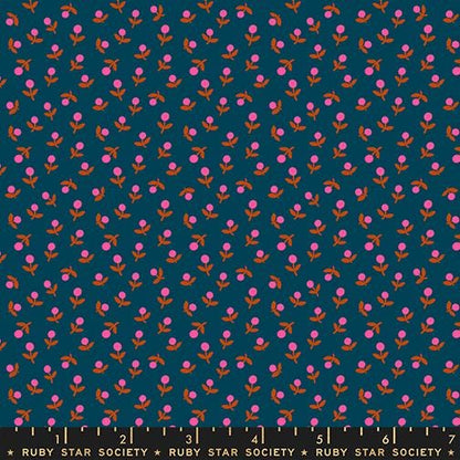 1-800-Calico Sprout Galaxy Fabric | Ruby Star Society | Alexia Abegg Quilting Cotton