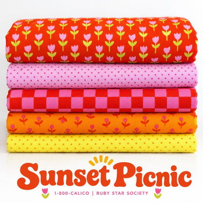 Sunset Picnic 5 Piece Fabric Bundle | 1-800-Calico by Ruby Star Society | Fat Quarter or Half Yard | Retro Quilting Cotton