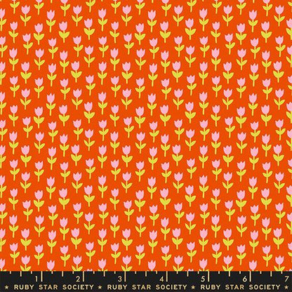 Sunset Picnic 5 Piece Fabric Bundle | 1-800-Calico by Ruby Star Society | Fat Quarter or Half Yard | Retro Quilting Cotton