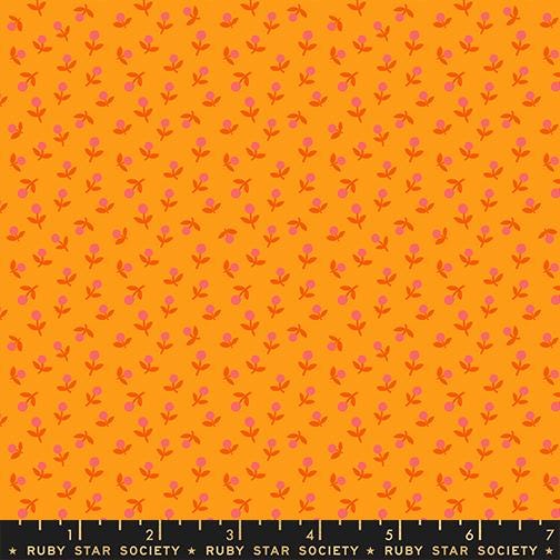 Sunset Picnic 5 Piece Fabric Bundle | 1-800-Calico by Ruby Star Society | Fat Quarter or Half Yard | Retro Quilting Cotton