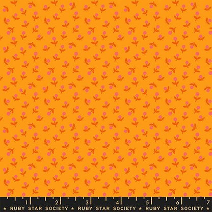 Sunset Picnic 5 Piece Fabric Bundle | 1-800-Calico by Ruby Star Society | Fat Quarter or Half Yard | Retro Quilting Cotton